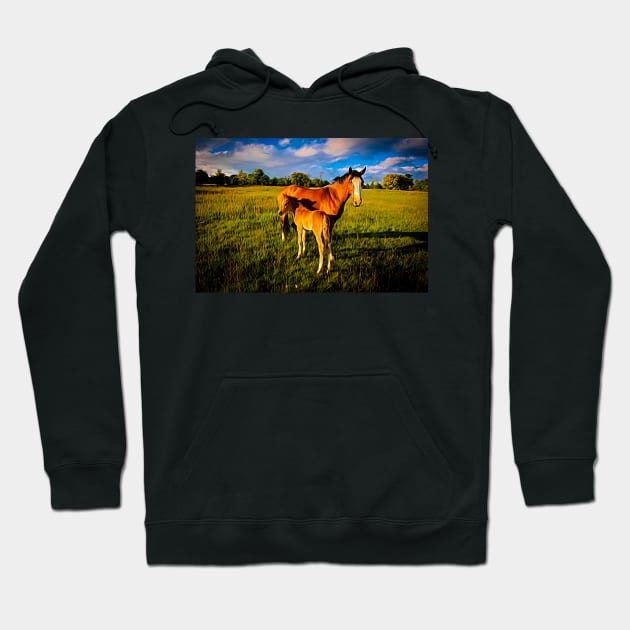 Mother and Foal#2 Hoodie by RJDowns
